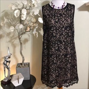 Loft  Little Black Dress